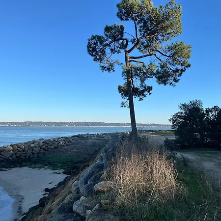 Authentique Cap Ferret Mimbeau Bed & Breakfast Lège-Cap-Ferret